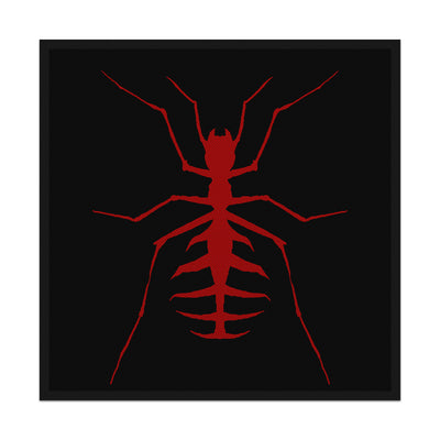 St. Aurora, Ant, Patch